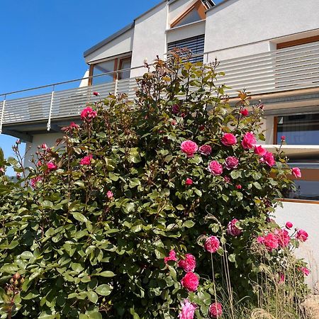 Ferienwohnungen Im Rosengarten Bodman-Ludwigshafen Zewnętrze zdjęcie
