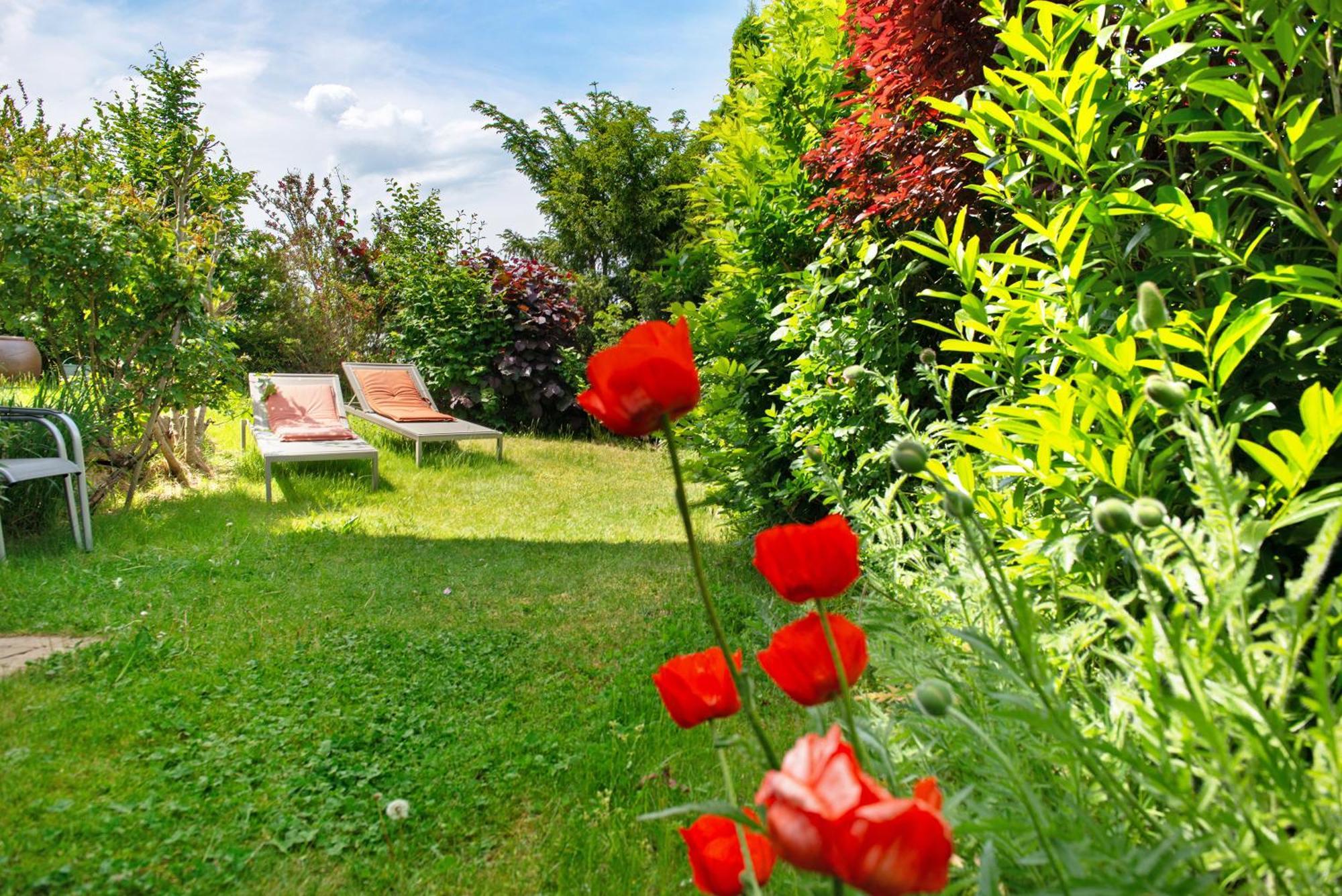 Ferienwohnungen Im Rosengarten Bodman-Ludwigshafen Zewnętrze zdjęcie